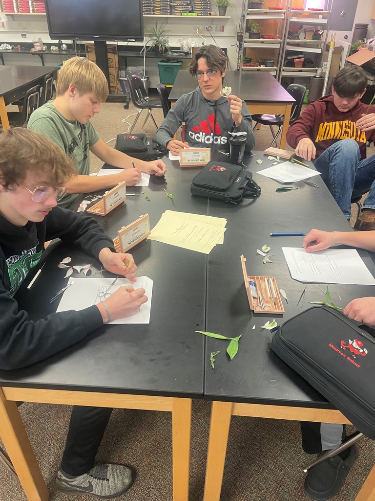 Plant Science dissecting flowers